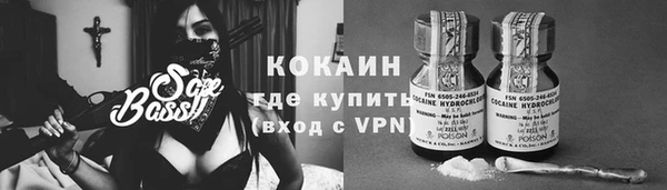не бодяженный Горно-Алтайск